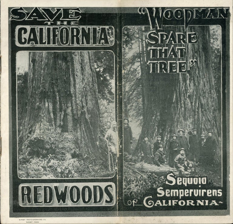 (#170351) "WOODMAN SPARE THAT TREE" SEQUOIA SEMPERVIRENS OF CALIFORNIA[.] SAVE THE CALIFORNIA REDWOODS [cover title]. California, Santa Cruz County, Big Basin, Redwoods, Sequoia Sempervirens.