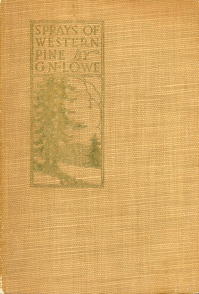 (#170444) Sprays of western pine by G. N. Lowe. GEORGE NOON LOWE.