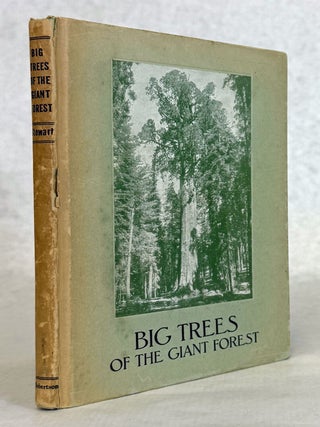 #178340) Big trees of the Giant Forest Sequoia National Park in the Sierra Nevada of California...