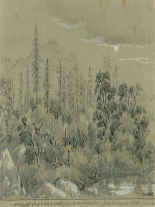 #179182) MOONLIGHT SCENE IN MARIN COUNTY, (NEAR BOLINAS) ORIGINAL SKETCH, A FRIENDLY DEDICATION...