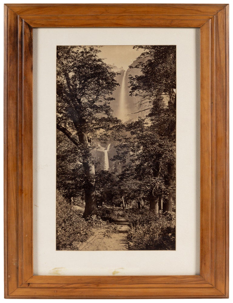 (#179383) [Yosemite Valley] Upper and Lower Yosemite Falls framed between oaks from Butterfly Avenue [title supplied]. Albumen print. CARLETON E. WATKINS.