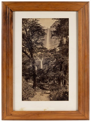 #179383) [Yosemite Valley] Upper and Lower Yosemite Falls framed between oaks from Butterfly...
